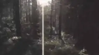 Darkthrone - Too Old Too Cold (from The Cult is Alive)