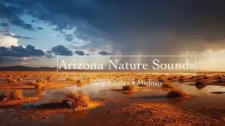 Arizona Desert Rain | Monsoon Sounds of Nature for Sleep, Relaxation & Study