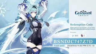 New 2.3 Live Stream Redeem Codes | Genshin impact