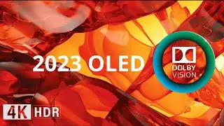 OLED Demo l 4K HDR 60FPS Dolby Vision | Next-Level Reality