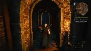 Секретный сайд-квест (The Witcher 3 Wild Hunt)