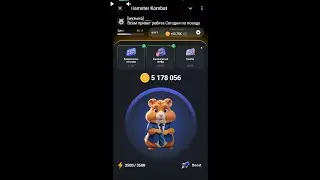 Hamster Kombat как заработать миллионы на криптохомяке.Подробный гайд.