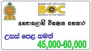 Post of Trainee Audit Assistant | Boc Job Vacancies
