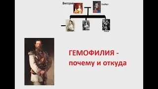 Генетика: что такое гемофилия и как она наследуется