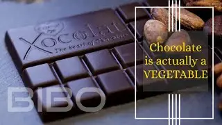Amazing Facts About Chocolate/ 2020/ Breath In Breath Out-Keep Moving