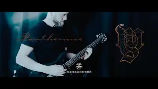 Markus Sigfridsson - Pantherinae [OFFICIAL VIDEO] #prsguitars  #instrumentalguitar #plini #swola