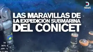 Lo mejor de la expedición del CONICET | Informe de DNews