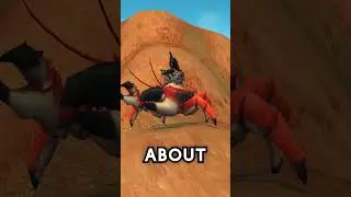 Are You a Degenerate Mount Collector?