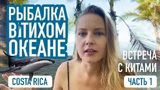 Охота на ДОРАДА в тихом океане. Часть 1. Встреча с китами.