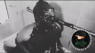 Eis que você compra uma foca da deep web