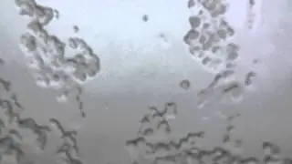 White ways you´ve gone