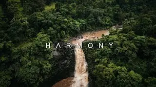 Harmony 🍃 | Part 1 | Cinematic nature 🌧️