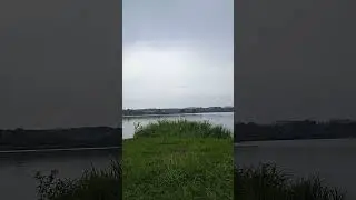 317. На природе.