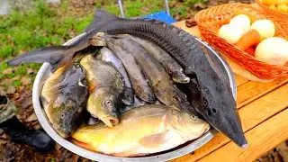 The President's Favorite Dish. Royal Fish Soup.