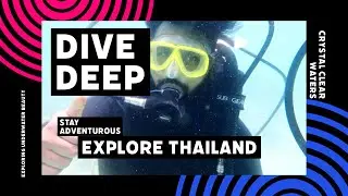 Ultimate Scuba Diving Adventure in Phi Phi Island, Thailand | Crystal Clear Waters & Marine Life!