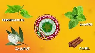Dette er ingrediensene i Golden Star Balm - vietnamesisk balsam