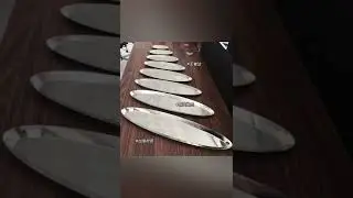 Stainless steel denier dragon boat plate