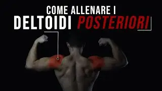 Come far crescere i deltoidi posteriori velocemente / 3 migliori esercizi con manubri