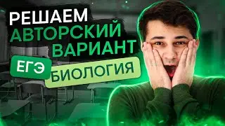 Разбор варианта Статграда | Миша Гис | ЕГЭ 2024 | SMITUP