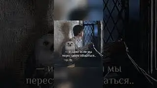 — смотрели уже Головоломку 2?) #врек #harrypotter #capcut #hogwarts #гаррипоттер #гермиона