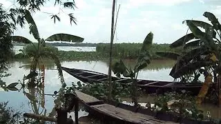 Flooded Village Of Westbengal ... Cause Of Heavy Rainfall....