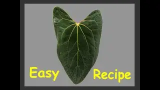 PON RECIPE