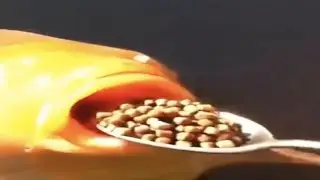 Funny videos I found on the internet #2