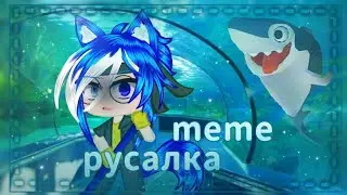 |🦚•русалка•❄|•meme•🦈|🦋•Gacha Clud•🦚|•Amiroxka•|💙