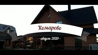 Встреча в Комарово