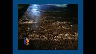 Llegó el alivió y la ansiada creciente a los sauces