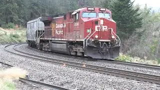 Skeena Pacific Video #2250 CPKC Grain Empty East, Mile 87.4 Shuswap Sub, Squilax, BC   2024 09 25