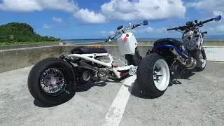 Honda Ruckus Ride