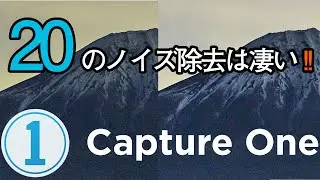 【Capture One】最新版20のノイズ除去機能が想像よりも凄かった！！