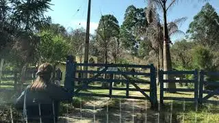 Conexão Trip Rural -Essência da Bocaina - Silveiras/SP