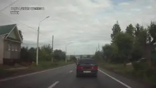 Спасти собаку любой ценой. Ижевск