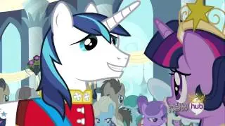 Shining Armor's Liquid Pride