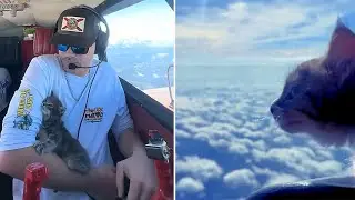 Volunteer Pilot Takes to the Skies To Save the Cutest Kitten Passengers