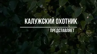 В поисках следов копытных