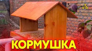 Кормушка для подкормки птиц зимой, рекомендации чем кормить синичек