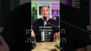 סדרת המיקרופונים V של sE Electronics