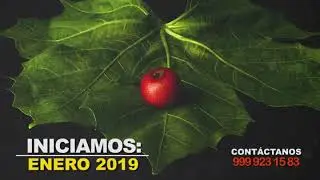 Cursos de fotografía básica e iluminación profesional en Mérida, Yucatán.