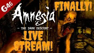 Amnesia | Live Stream | Finally