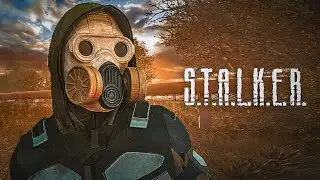 Тот самый ПРОТИВОГАЗ ОДИНОЧЕК из игры S.T.A.L.K.E.R.