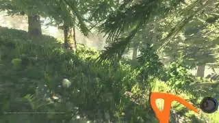 The Forest - Обнова 0.08