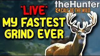 Hunting Animals Like I'm SPEEDRUNNING - TheHunter: Call of the Wild