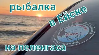 Дебют серфа  Boya By leopard 4.5m/рыбалка на пеленгаса.ейск.азовское море