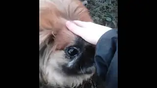 Проект 