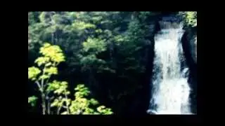 Qingji i vogel • [piano]