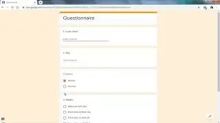 Formation SPSS: Codage et saisie d'un questionnaire