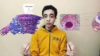 ايه هي طريقة عمل لقاح فيزر بايونتك ل فيروس كورونا - اهم اكتشافات 2020